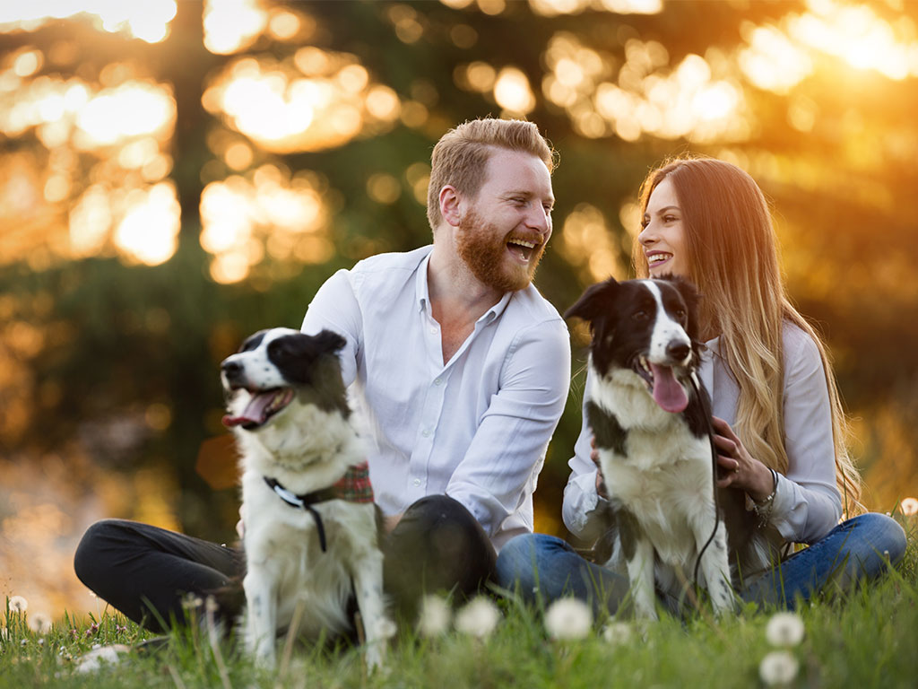 Couple Enjoying Time With Their Dogs