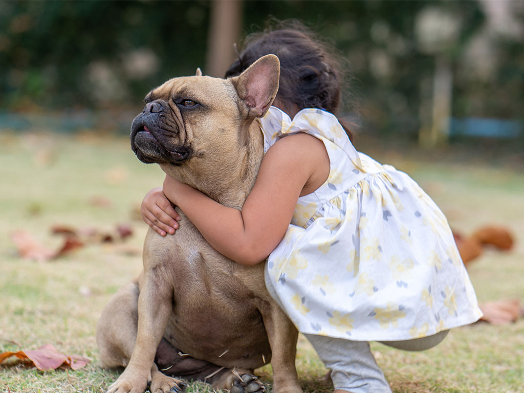 Little Girl Hugging Her French Bulldog