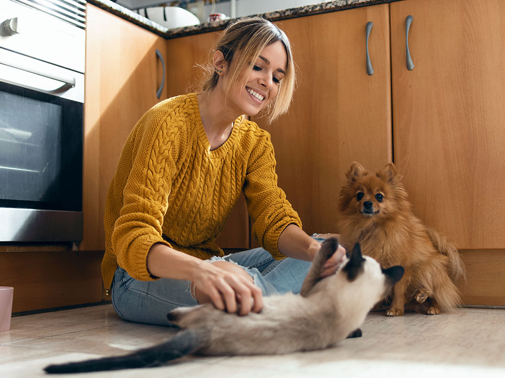 Woman Sitting On Floor Playing With Cat And Dog