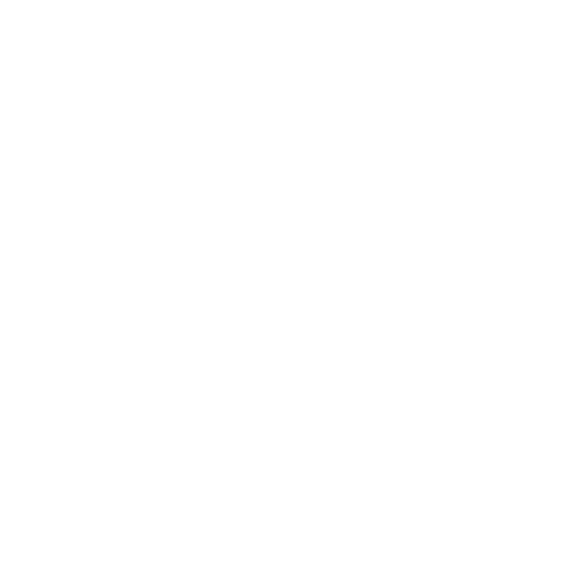 Mckinney Emergency Vet Clinic Cross Icon
