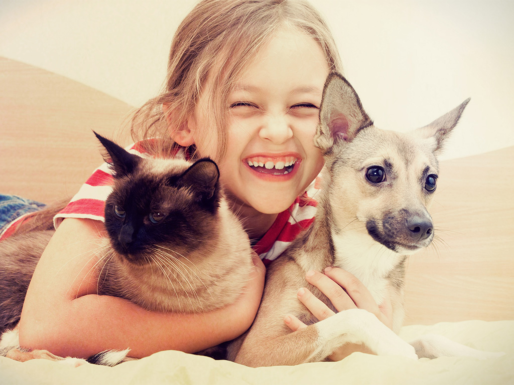 Little Girl Hugging And Smiling With Dog And Cat