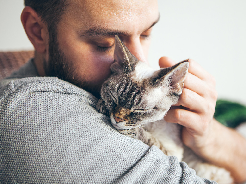 Man Holding And Snuggling Cat After Vet Service