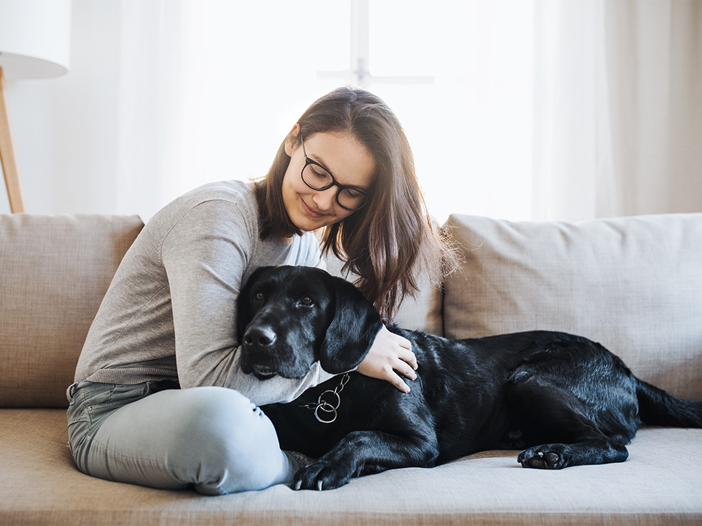 Teenage Girl Sitting On Sofa With Black Dog After Vet Service